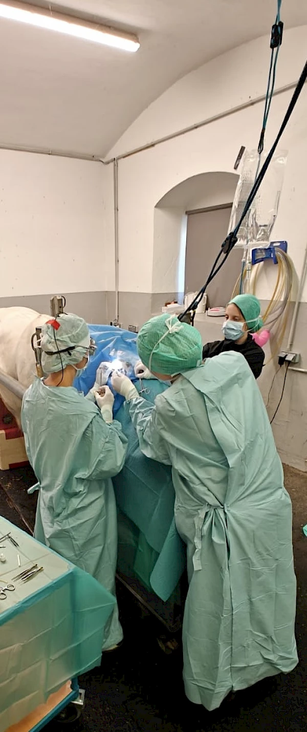 Operation im Stehen