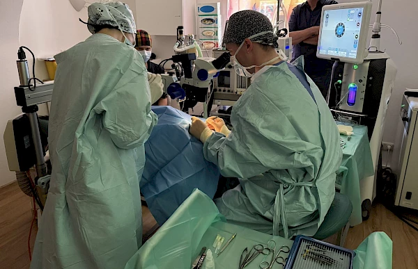 Teamwork  der Tieraugenambulanz in einer komplexen  Operation (Kataraktoperation nach Linsenluxation , spezielle Technik einer Kunstlinse, die ans Auge fixiert wird)