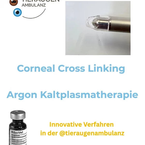 💡 Moderne Therapieoptionen für die Hornhautgesundheit 👁️