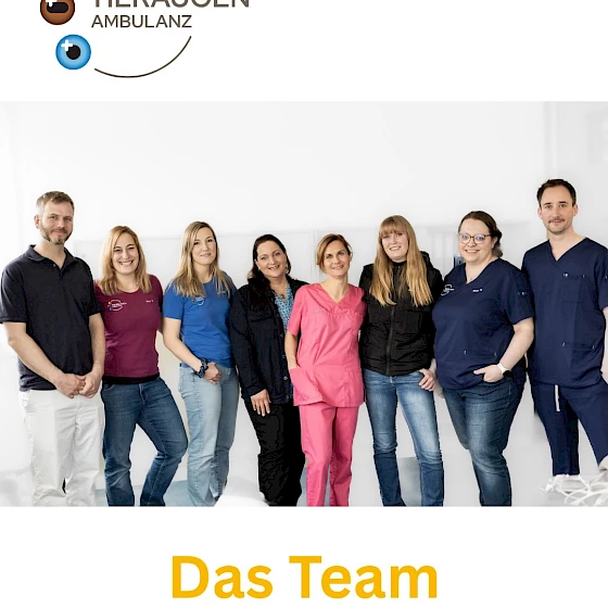 Unser Team der Tieraugenambulanz - mit Herz, Fachwissen und ganz viel Liebe für…