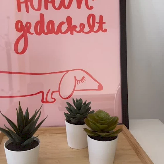 Wie findet man eigentlich zum neuen Standort der Tieraugenambulanz? Da unsere…
