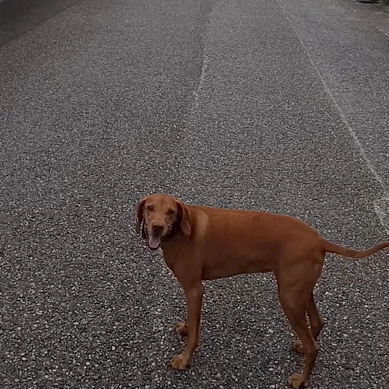 🌟Georgia🌟