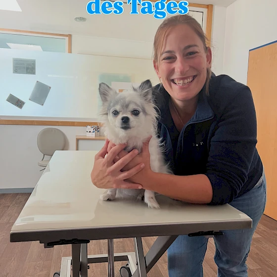 1. Hund Amy mit abgeheilter Hornhautinfektion